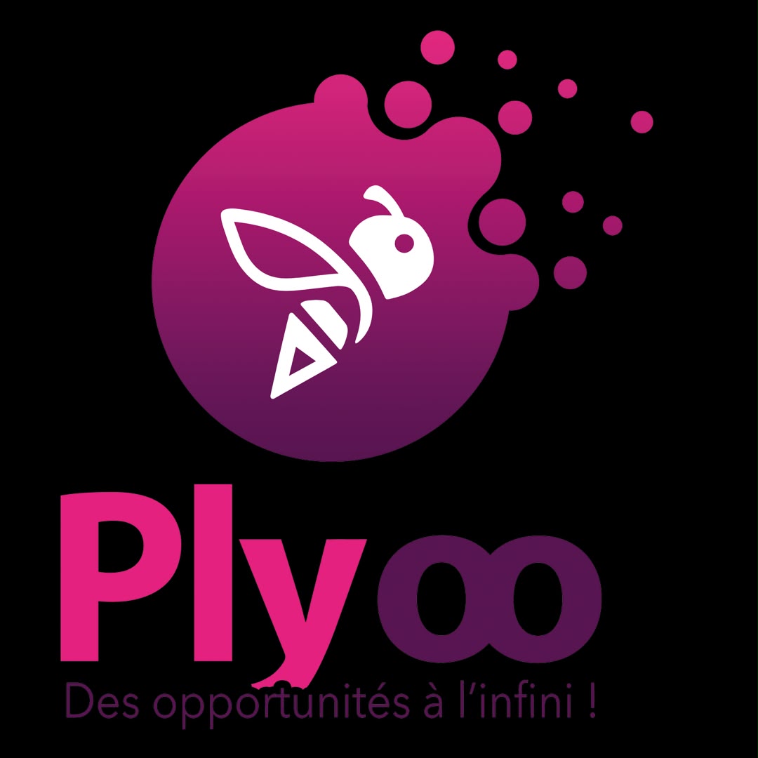 Mali : avec PLYOO, Emploi et Moi veut transformer le recrutement en réseau d'opportunités